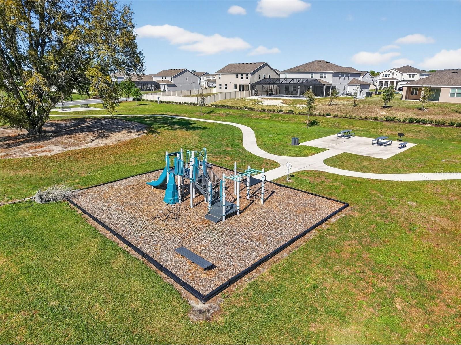 6070 Sierra Crown Street Mount Dora FL 32757 G5109941 image60