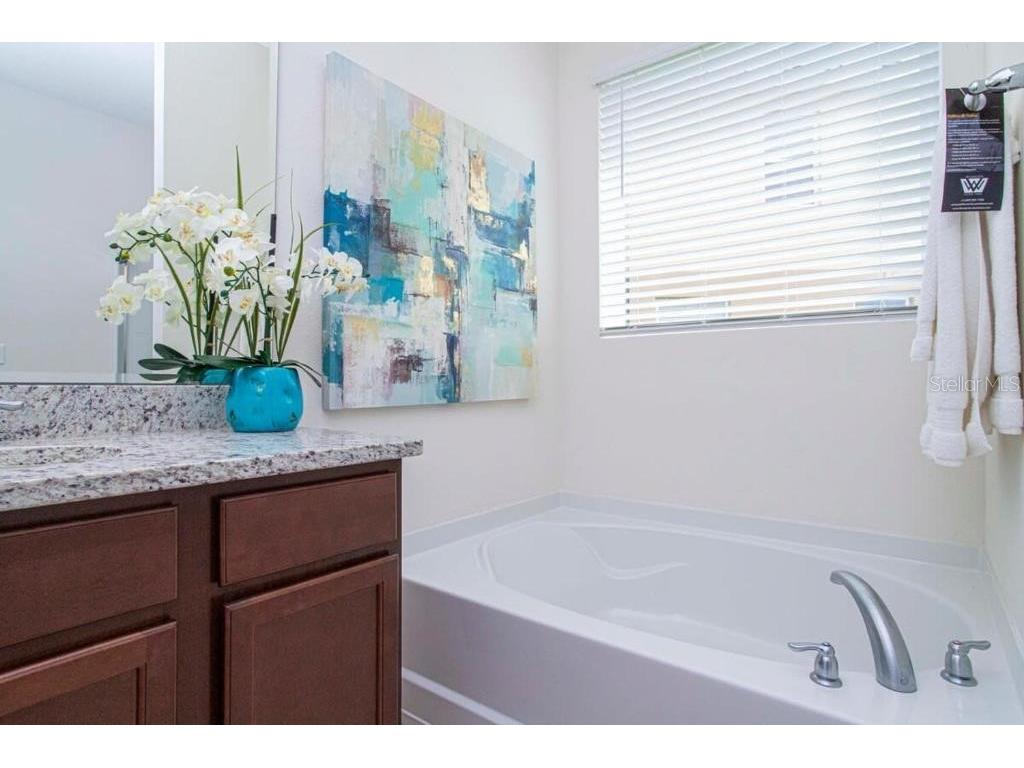 6071 Broad Oak Drive Davenport FL 33837 O6293045 image19