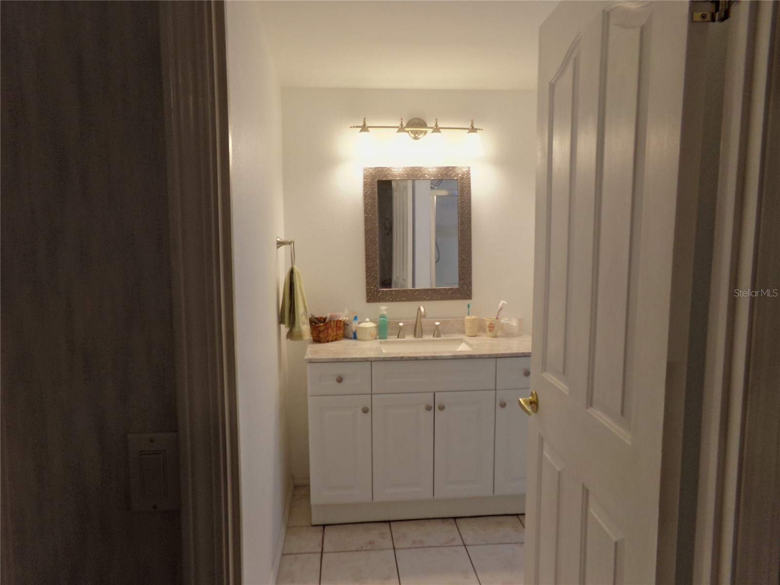 6071 Ivory Bill Drive Englewood FL 34224 D6147475 image17