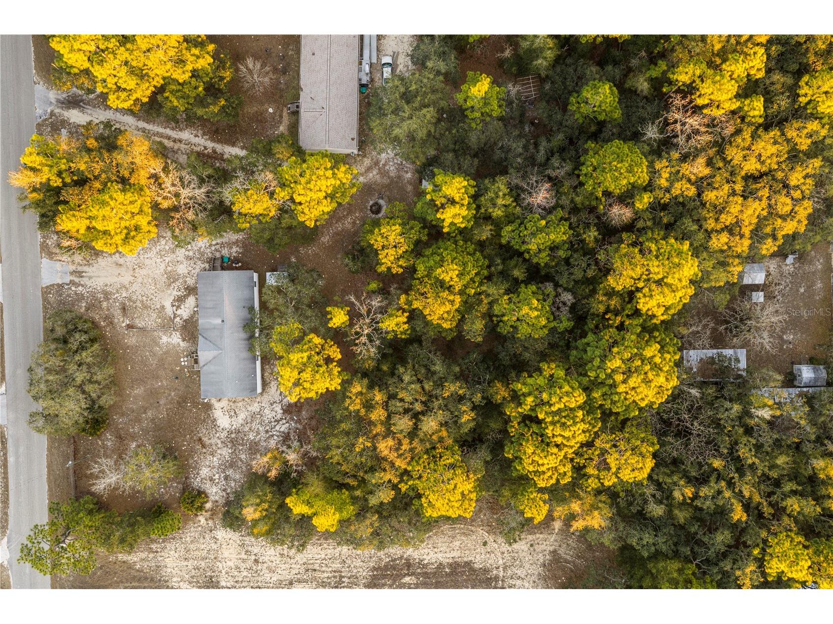 6072 W Patriot Street Homosassa FL 34448 OM718157 image32