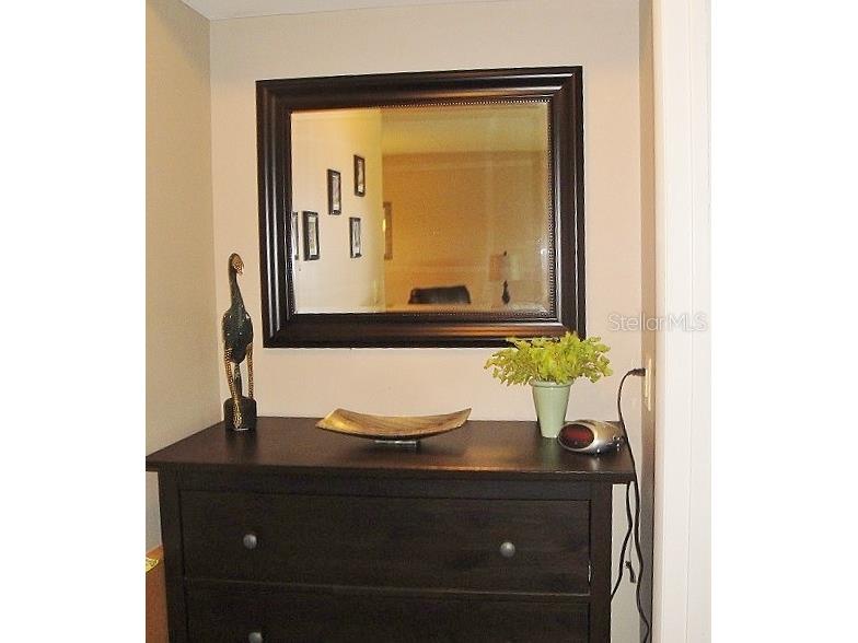 6073 Bahia Del Mar Boulevard #129 Saint Petersburg FL 33715 TB8392895 image21