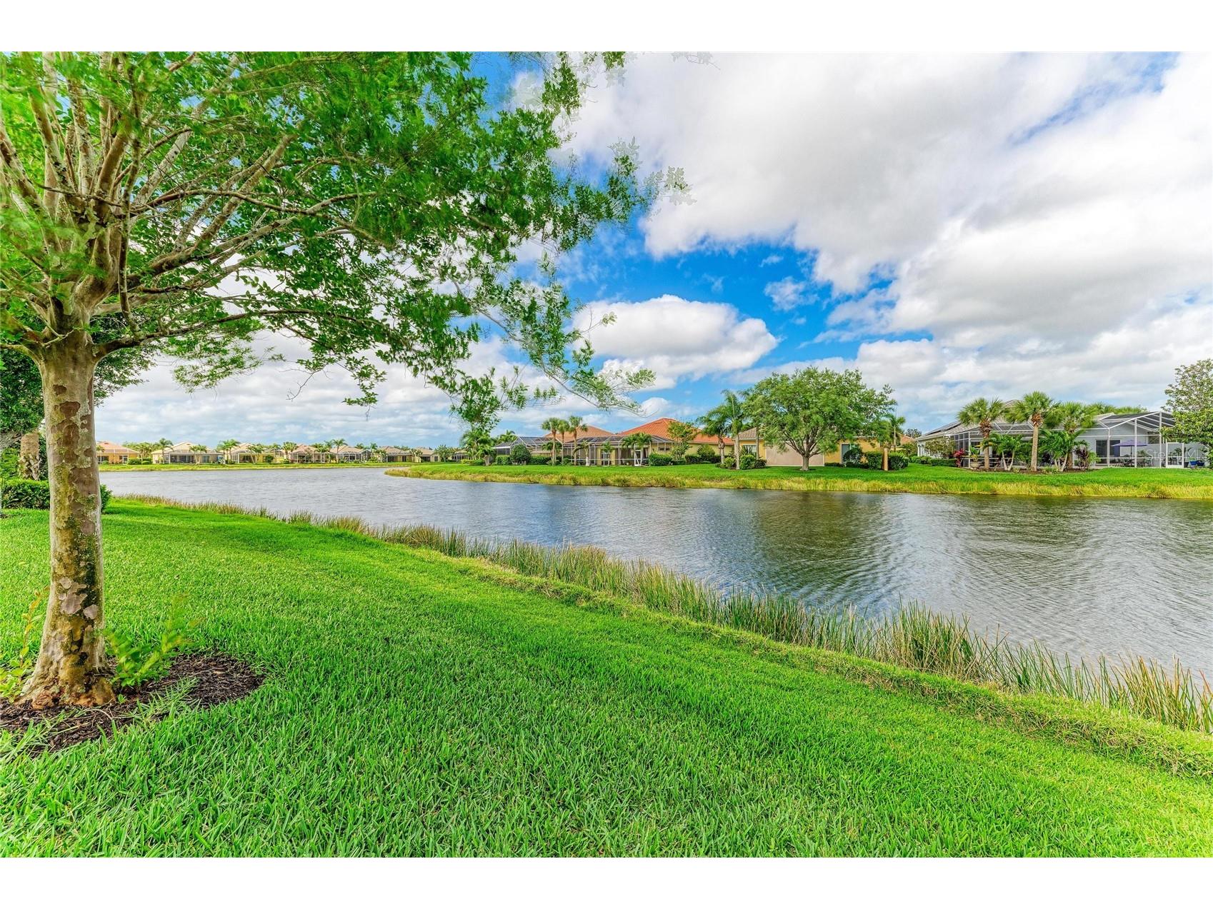 6073 Erice Street Venice FL 34293 N6143852 image48