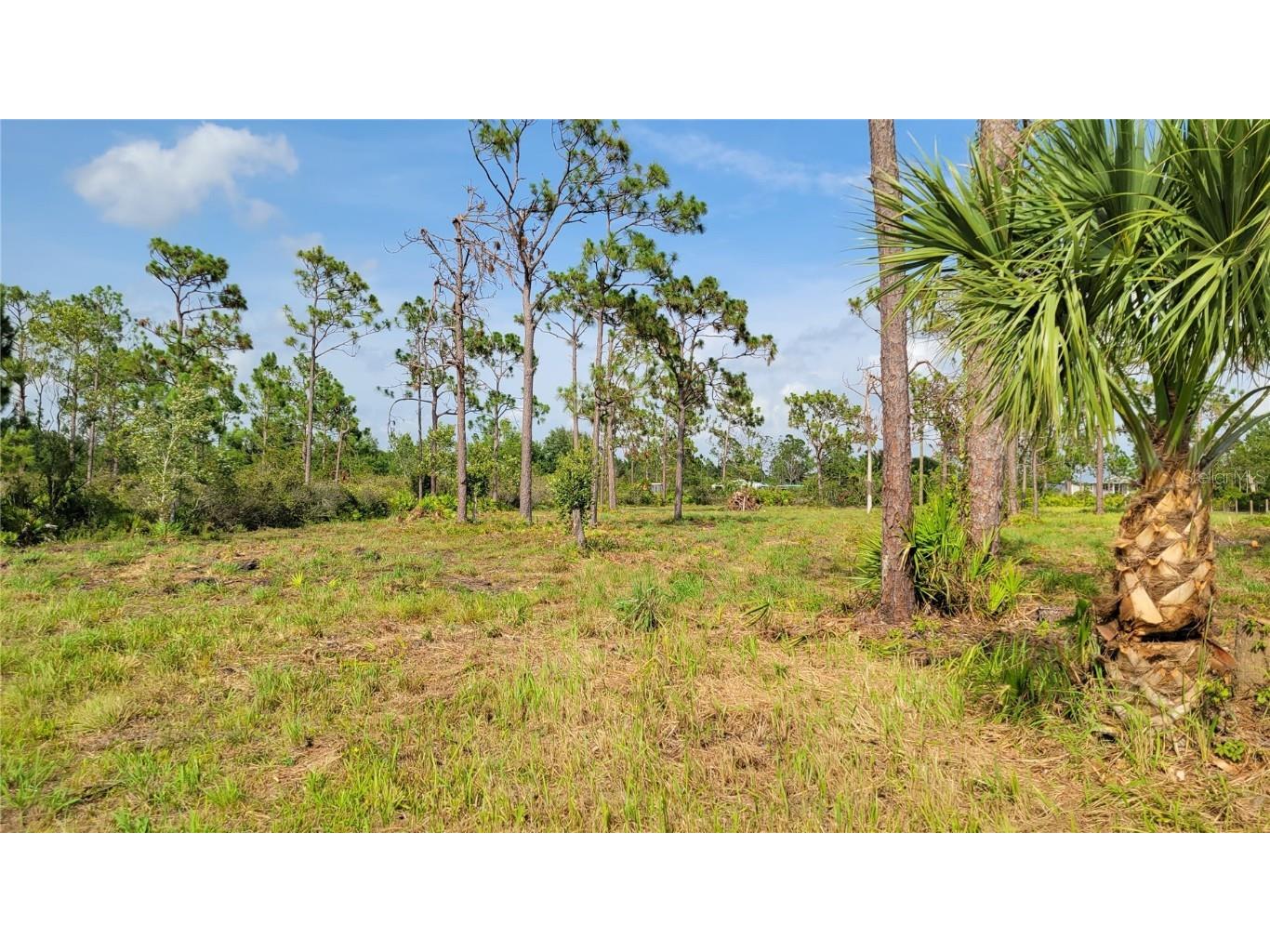 6074 Gewant Boulevard Punta Gorda FL 33982 A4574206 image1