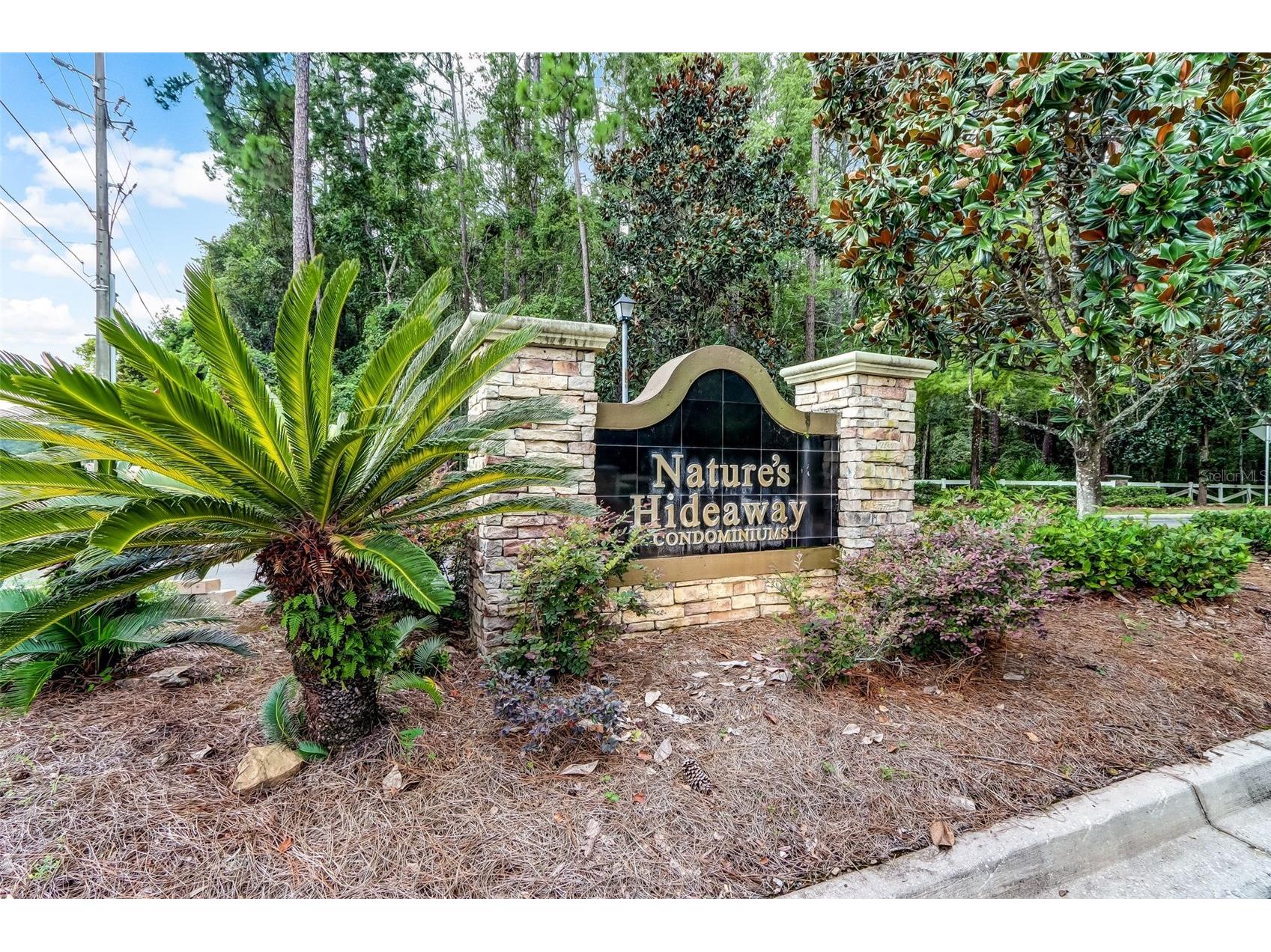 6075 Maggies Circle #113 Jacksonville FL 32244 GC539081 image33