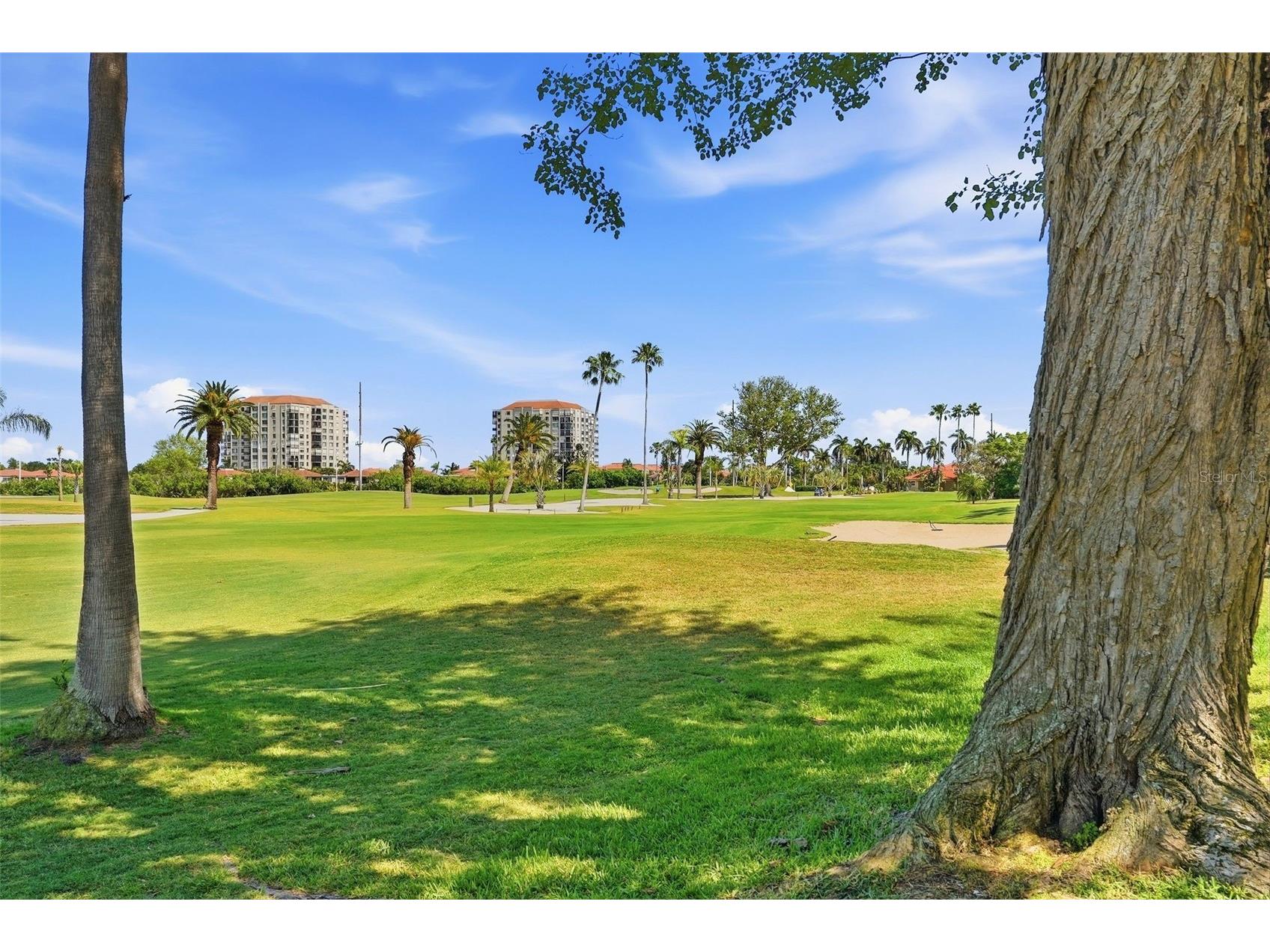6077 Bahia Del Mar Boulevard #123 Saint Petersburg FL 33715 TB8498065 image28