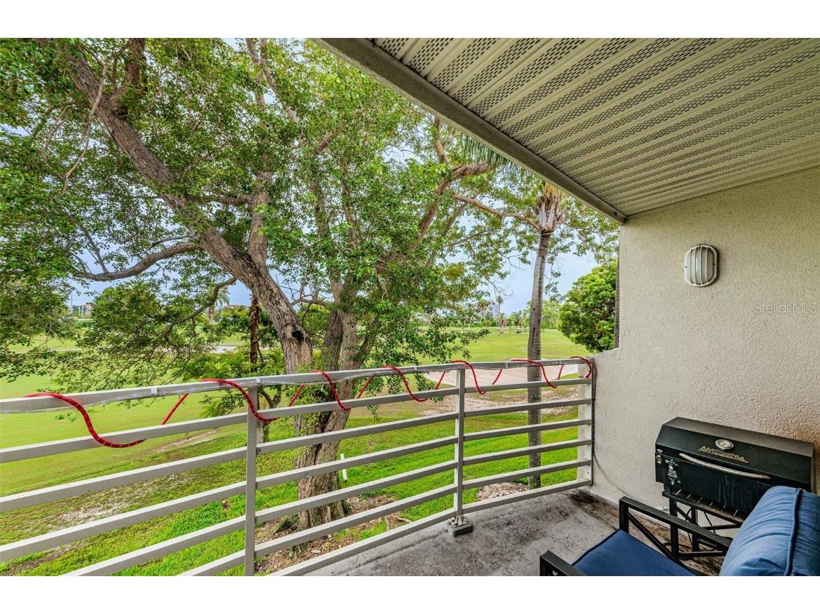 6077 Bahia Del Mar Boulevard #224 Saint Petersburg FL 33715 U8181113 image15