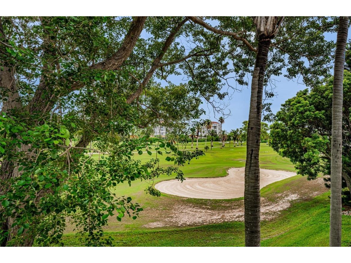 6077 Bahia Del Mar Boulevard #224 Saint Petersburg FL 33715 U8181113 image16