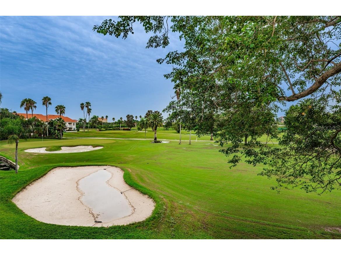 6077 Bahia Del Mar Boulevard #224 Saint Petersburg FL 33715 U8181113 image17