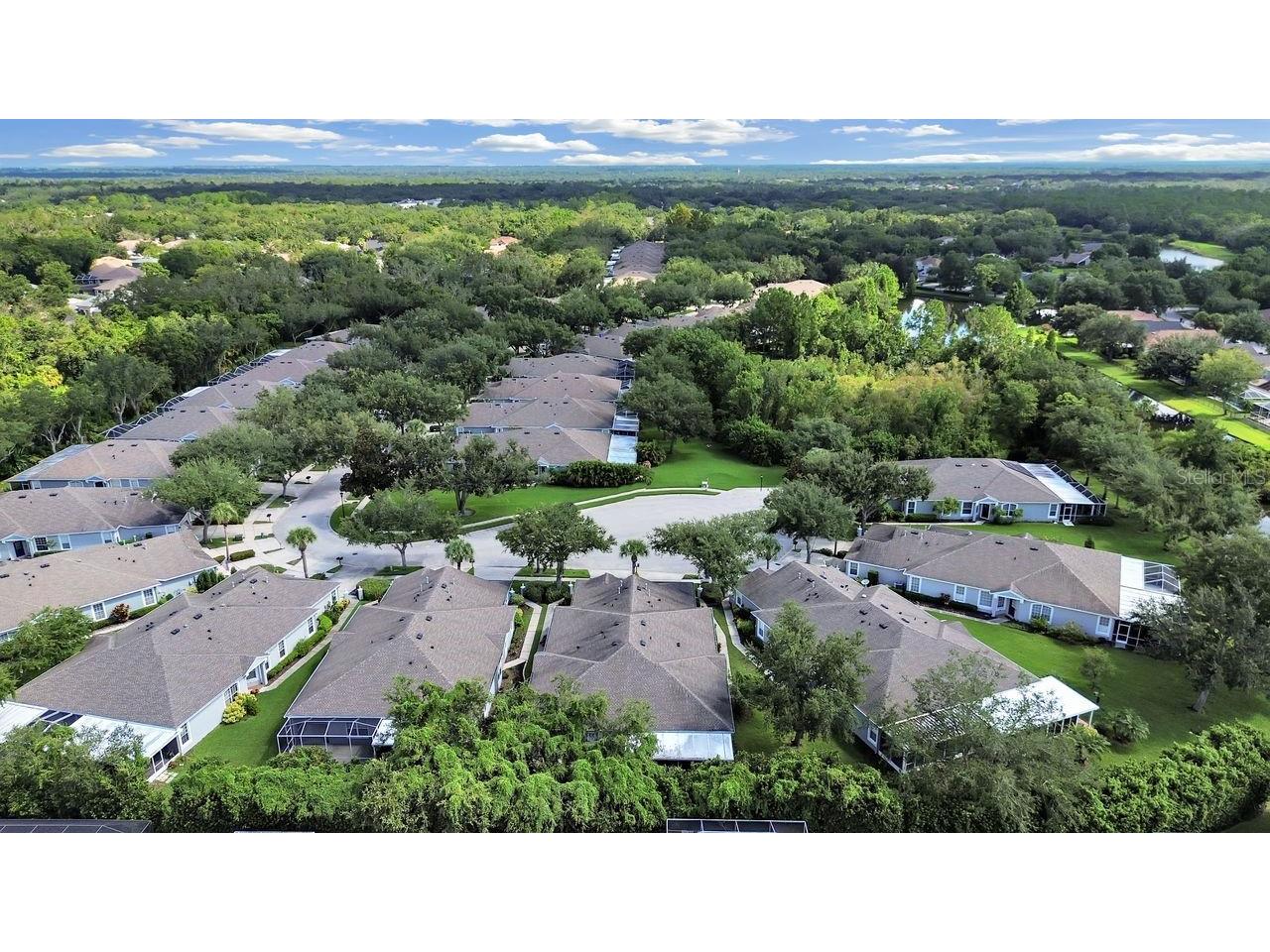 6077 Sandhill Ridge Drive Lithia FL 33547 TB8412807 image39