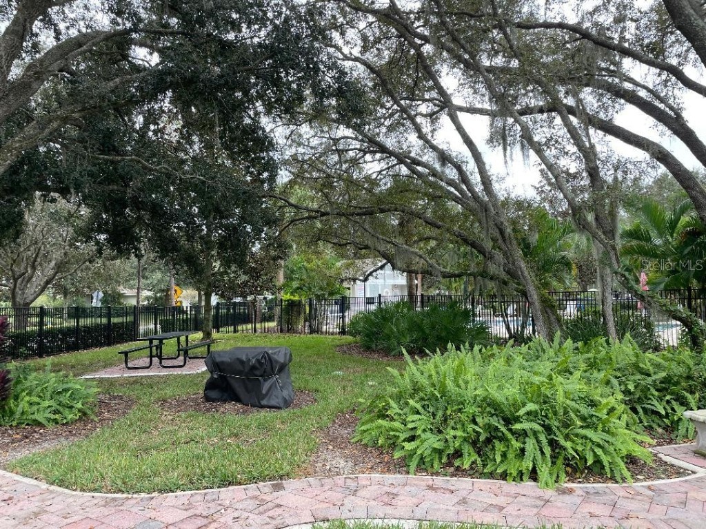 6077 Sandhill Ridge Drive Lithia FL 33547 TB8412807 image45