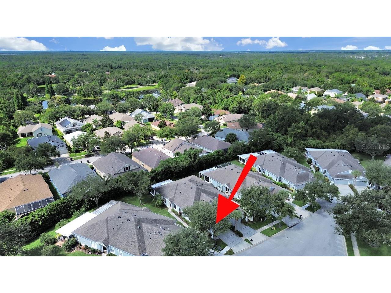 6077 Sandhill Ridge Drive Lithia FL 33547 TB8412807 image47