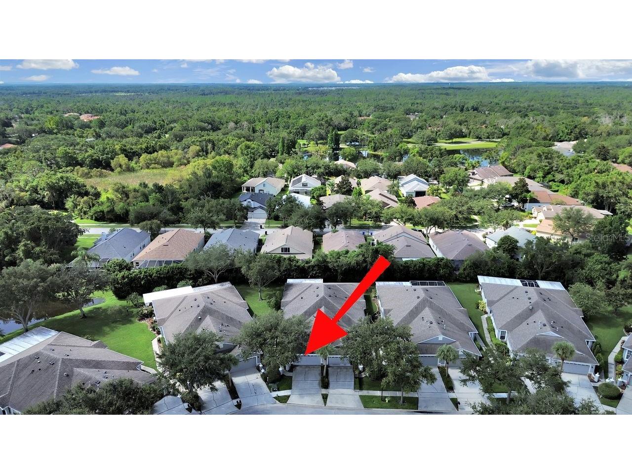 6077 Sandhill Ridge Drive Lithia FL 33547 TB8412807 image48