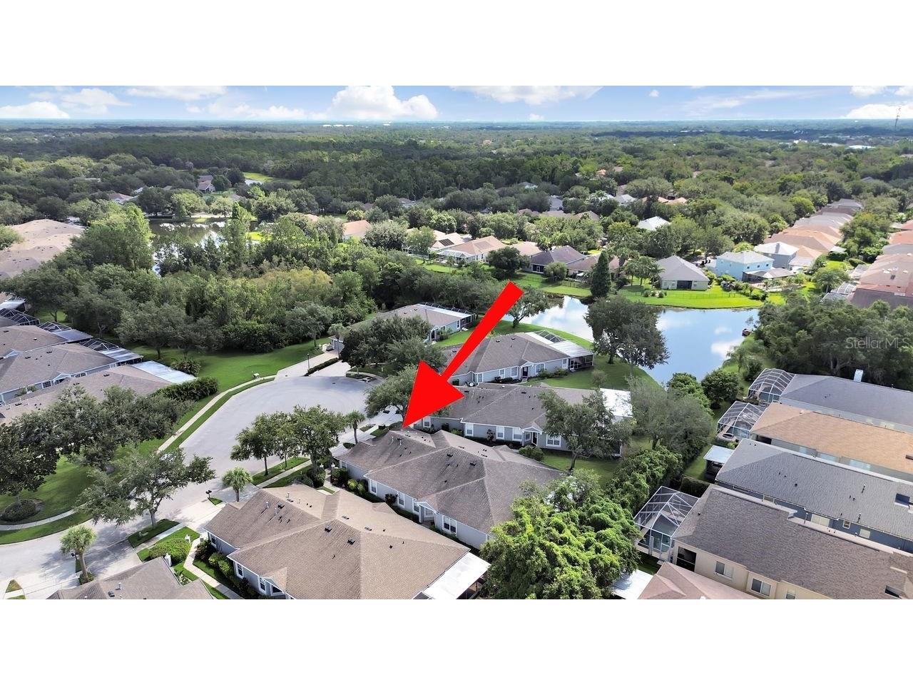 6077 Sandhill Ridge Drive Lithia FL 33547 TB8412807 image50