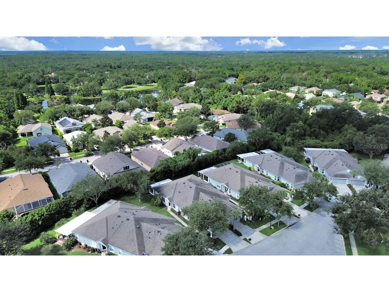 6077 Sandhill Ridge Drive Lithia FL 33547 TB8412807 image52