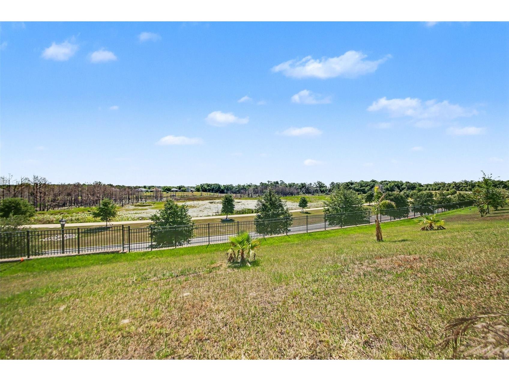6079 Claystone Way Mount Dora FL 32757 O6409067 image31