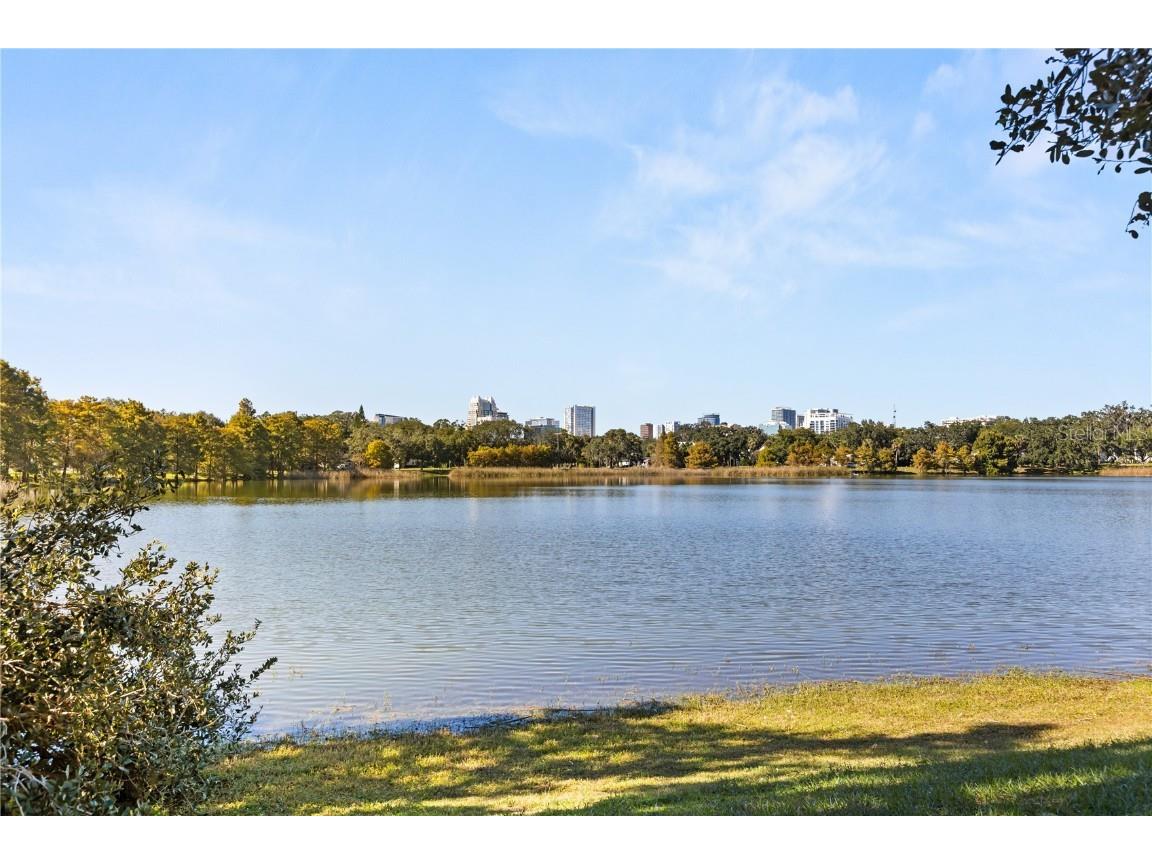 608 Briercliff Drive Orlando FL 32806 O6358045 image30