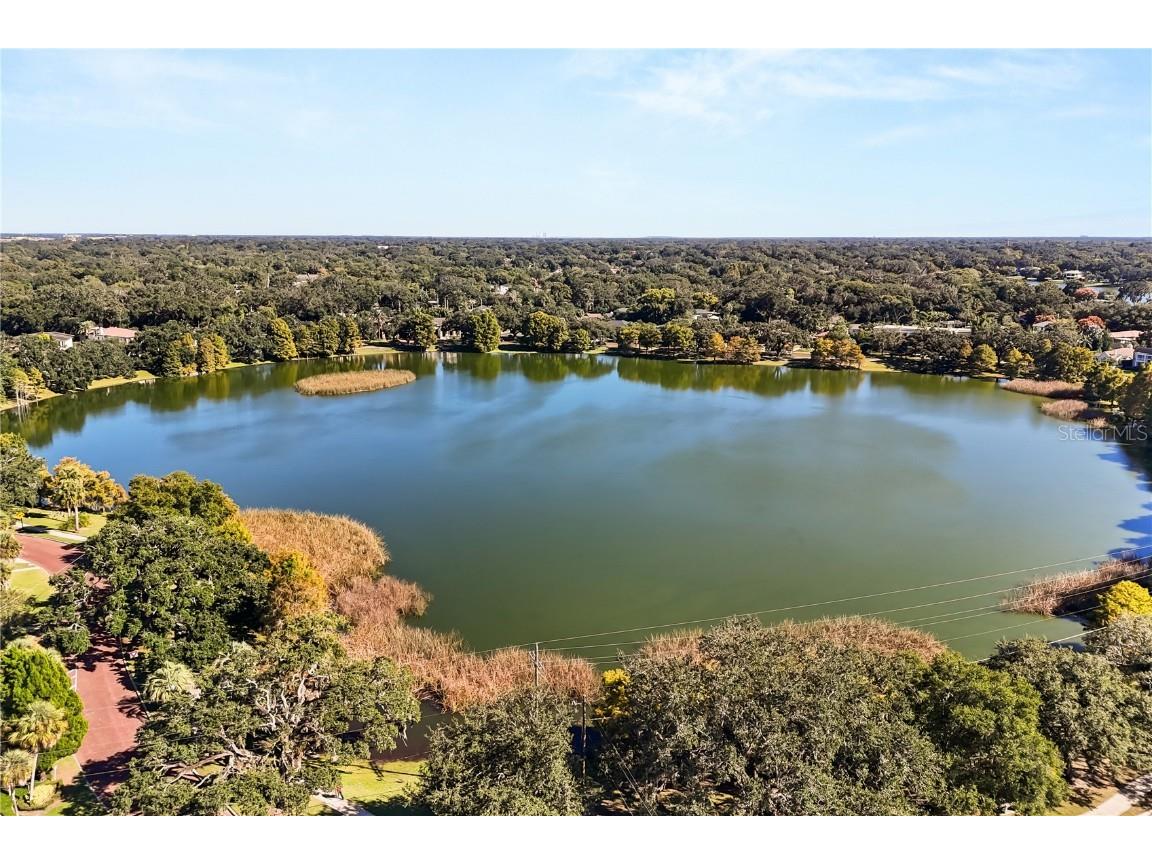 608 Briercliff Drive Orlando FL 32806 O6358045 image38