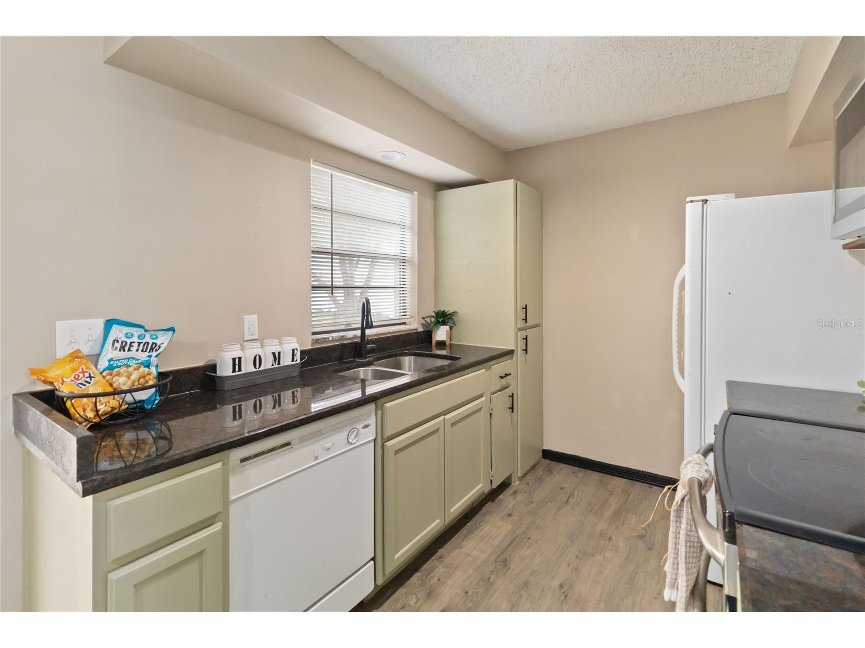 608 Dora Avenue Tavares FL 32778 O6374045 image13