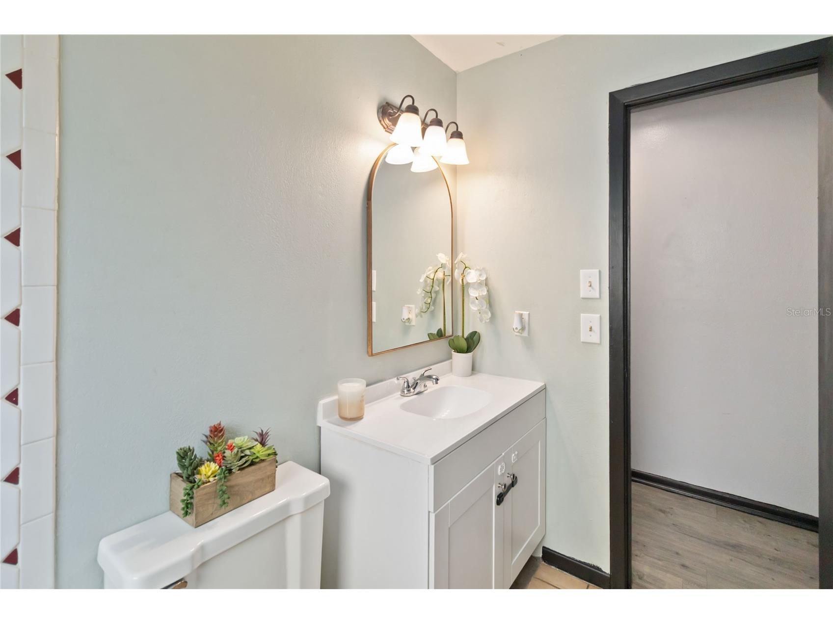 608 Dora Avenue Tavares FL 32778 O6374045 image21