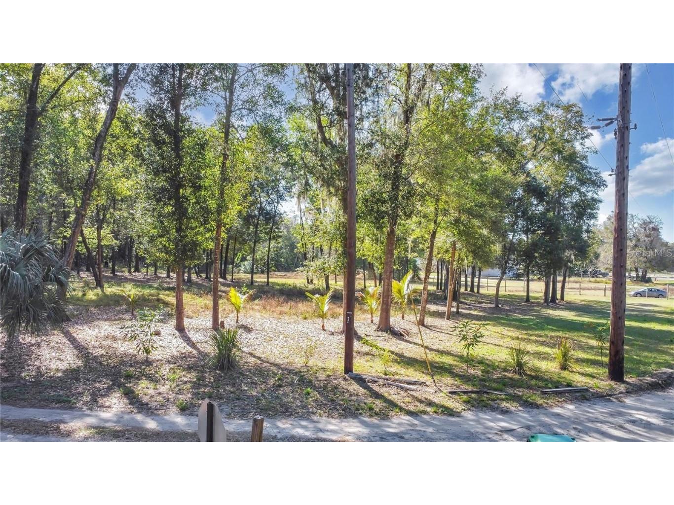 608 E 13th Street Apopka FL 32703 O6249845 image5