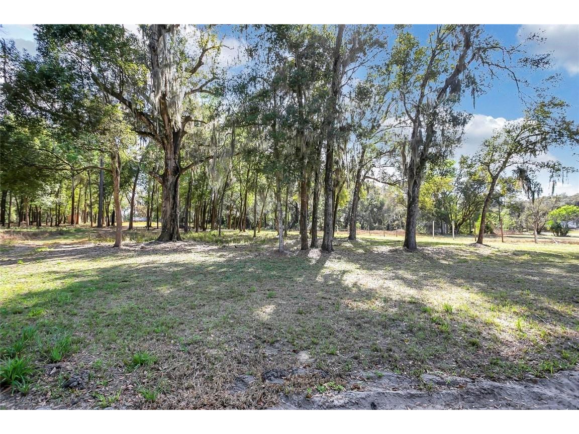 608 E 13th Street Apopka FL 32703 O6249845 image8