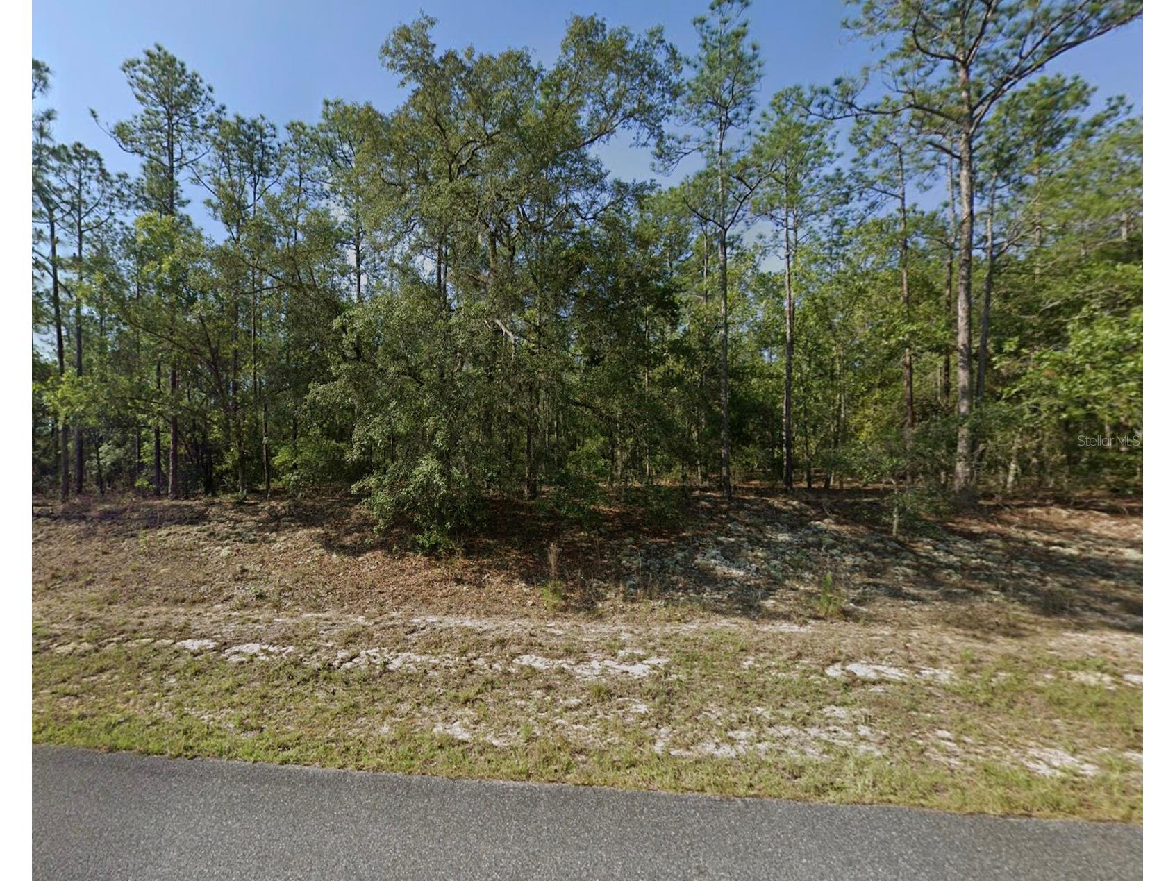 608 E Bimini Drive Dunnellon FL 34434 TB8526158 image1