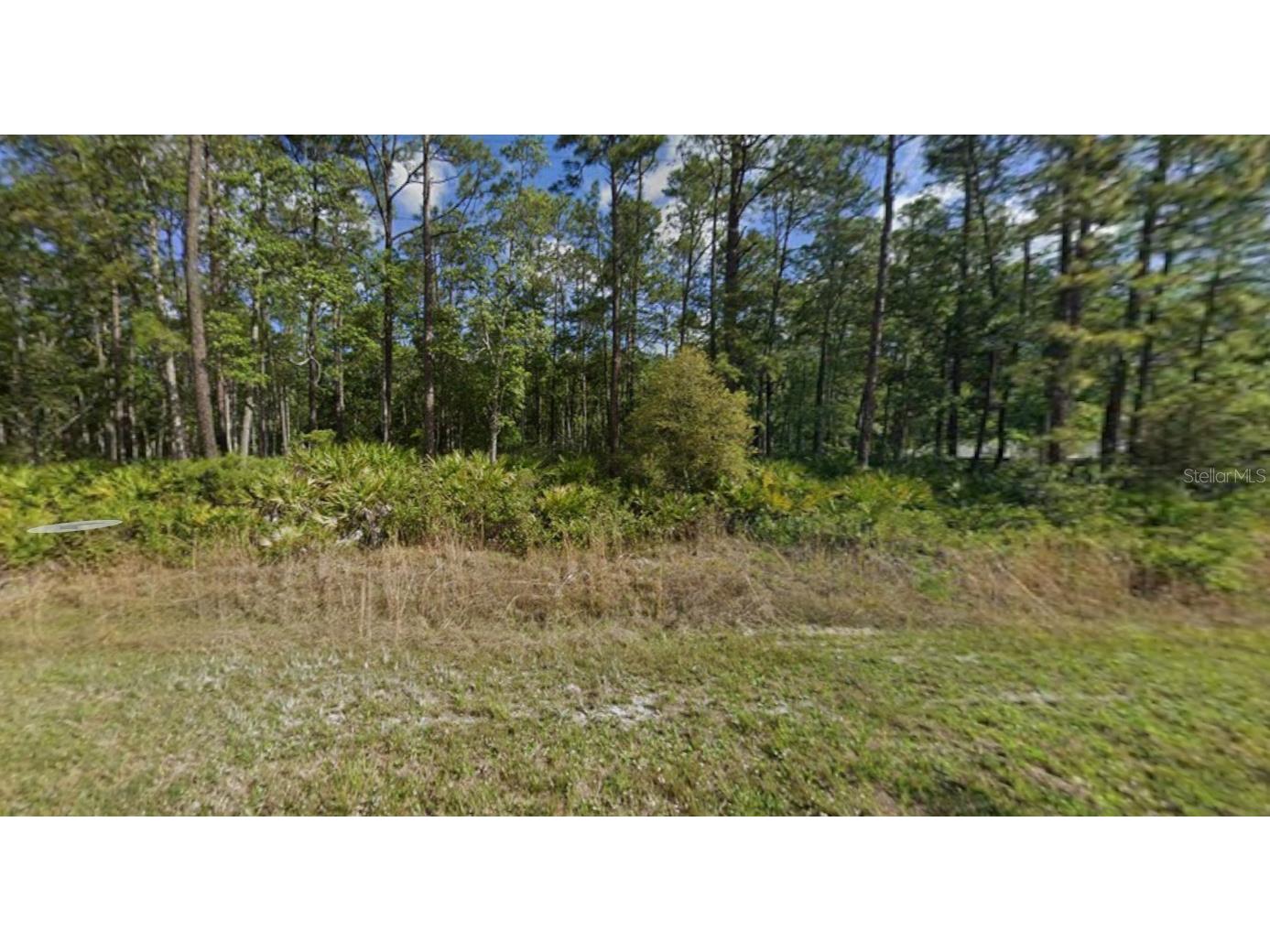 608 Hickory Nut Trail Satsuma FL 32189 O6358439 image1