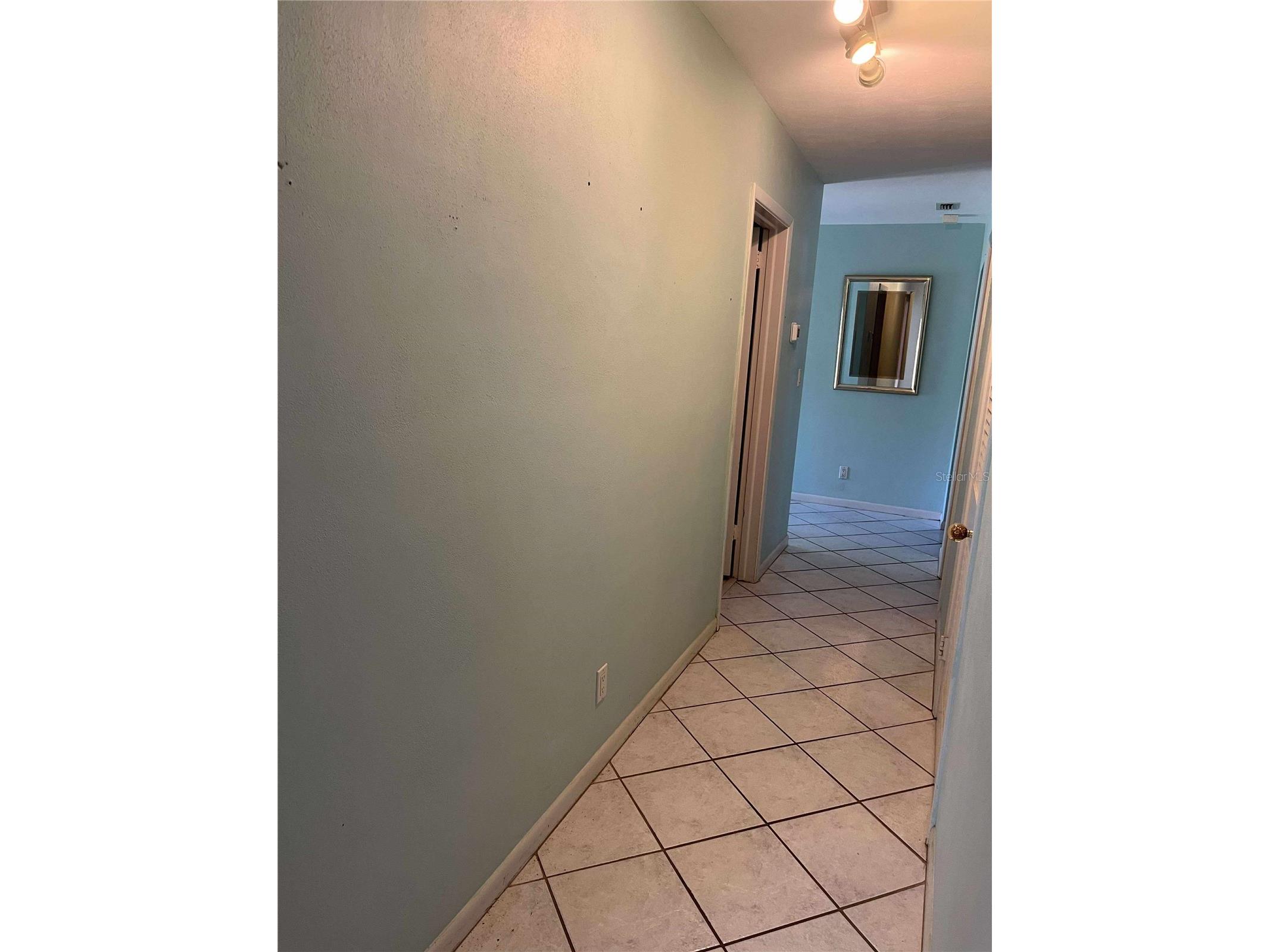 608 Knowles Road Brandon FL 33511 TB8485980 image28