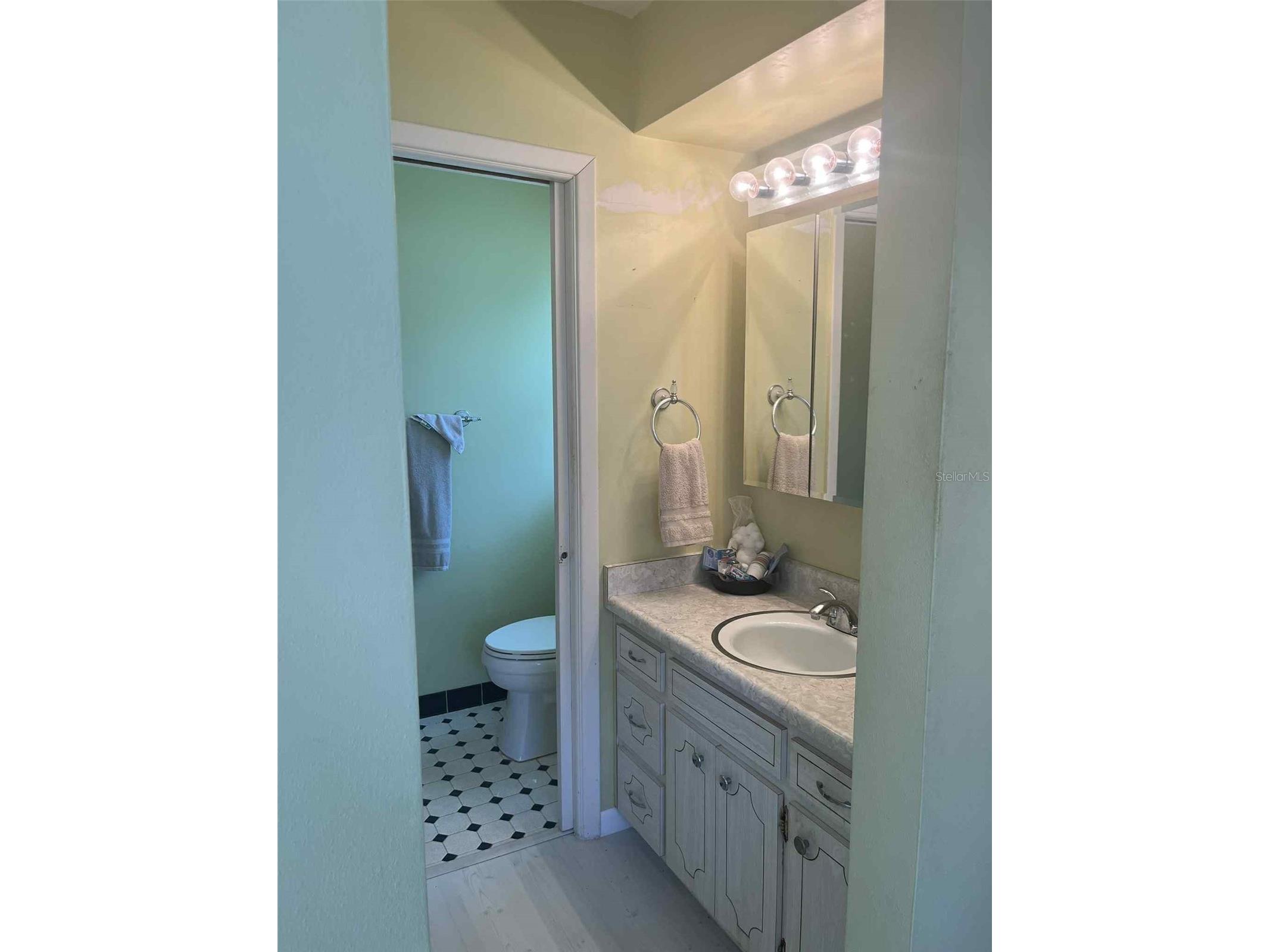 608 Knowles Road Brandon FL 33511 TB8485980 image35