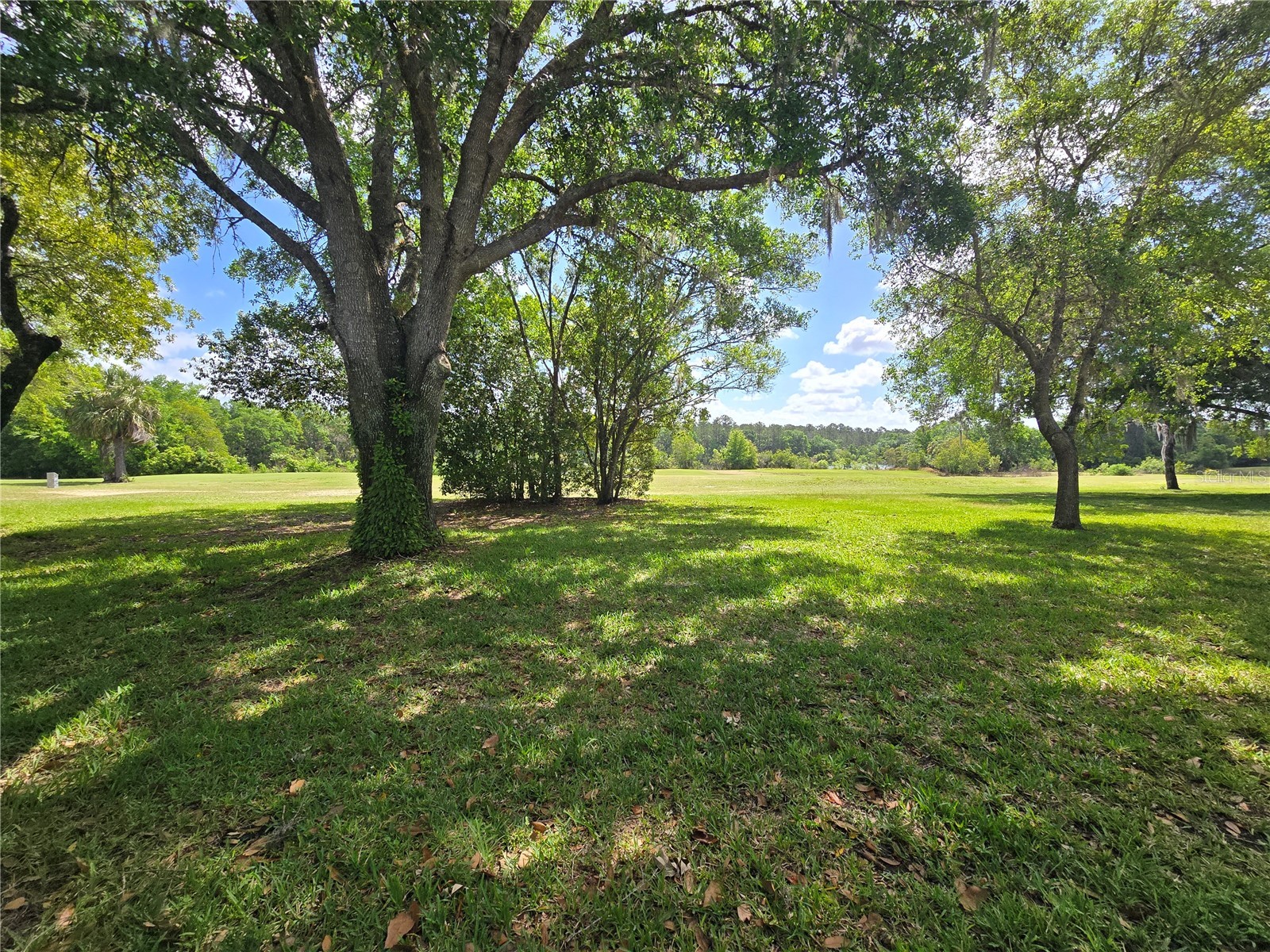 608 Midway Drive #A Ocala FL 34472 OM725906 image21