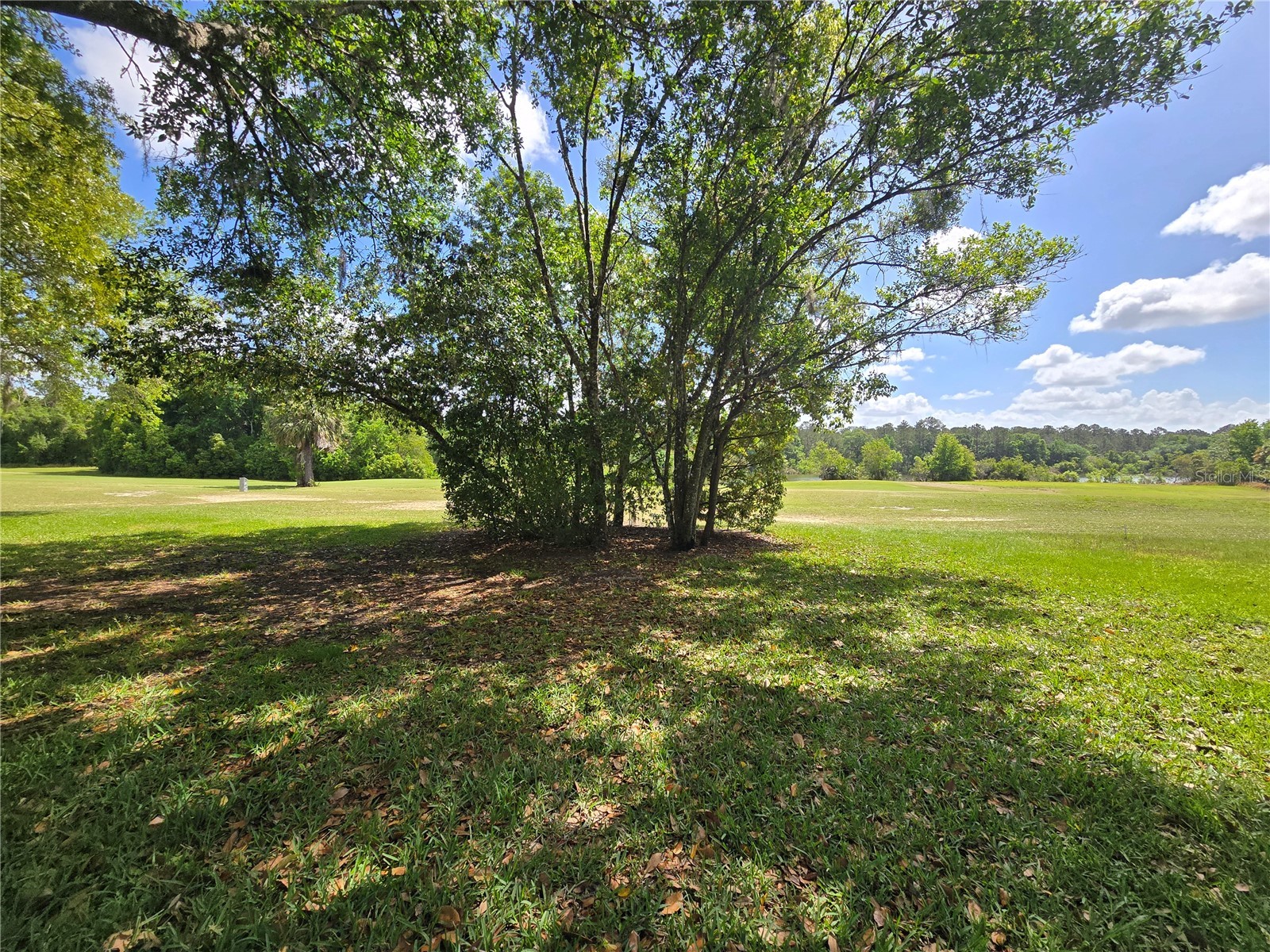 608 Midway Drive #A Ocala FL 34472 OM725906 image22