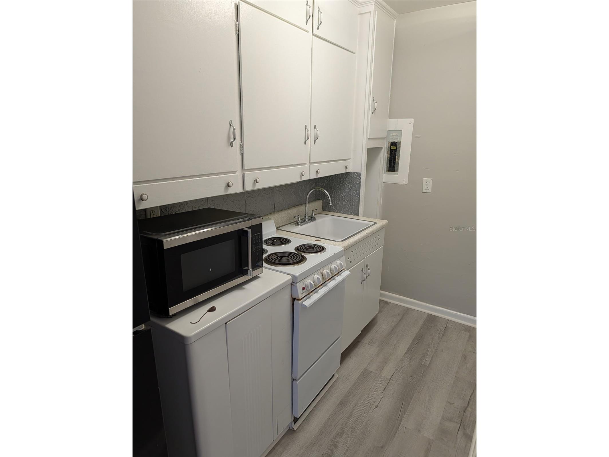 608 N Baker Street Mount Dora FL 32757 O6405884 image4