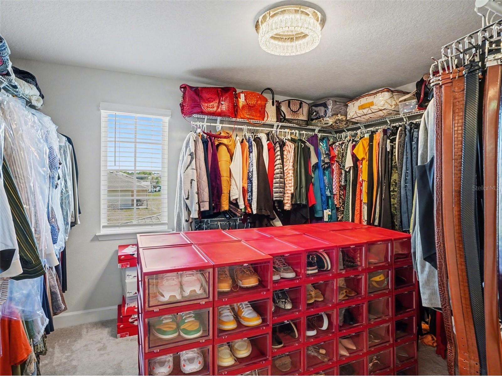 608 Rominger Loop Apopka FL 32712 O6392914 image27