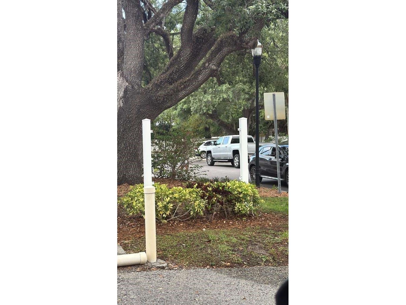 608 S Tampania Avenue Tampa FL 33609 A4694463 image41