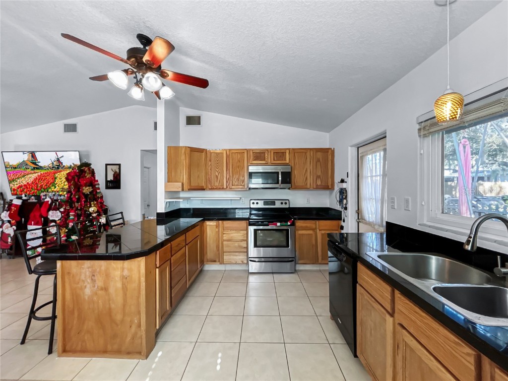 608 W Nelson Street Tavares FL 32778 O6362183 image3