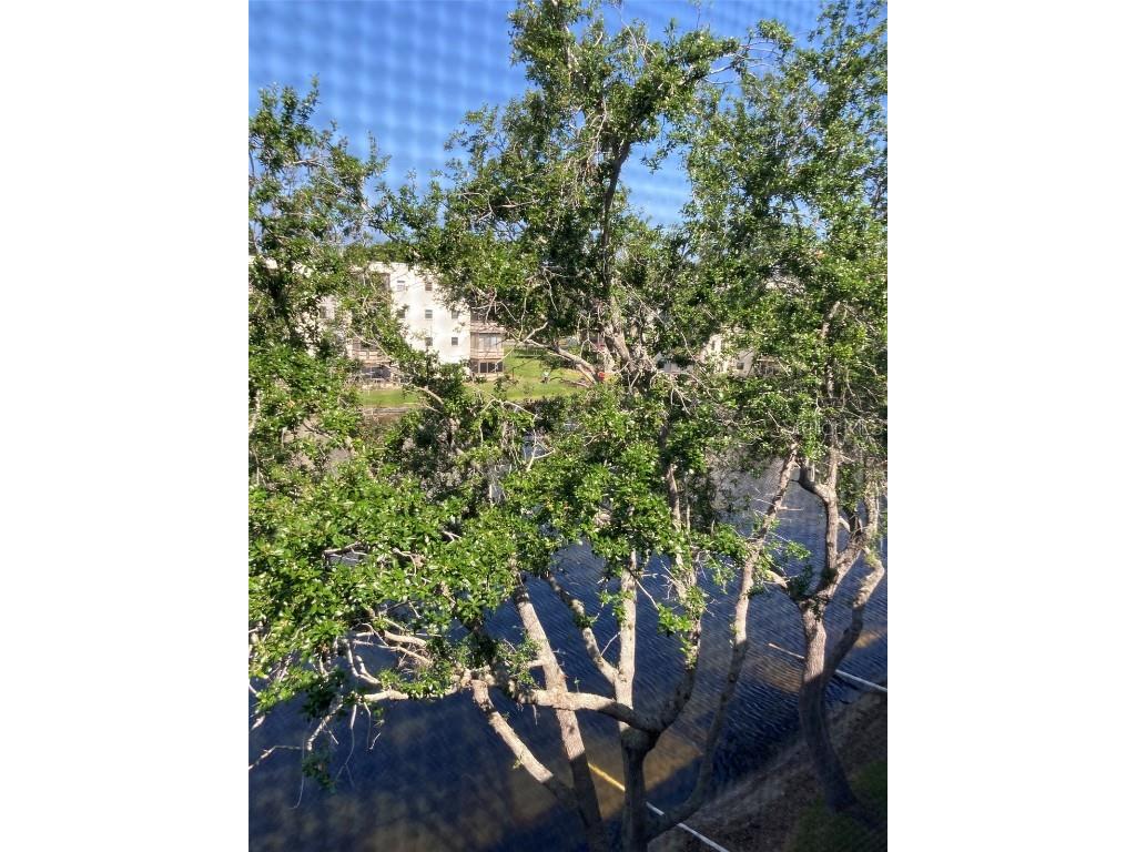 6080 80th Street N #409 Saint Petersburg FL 33709 TB8375293 image1