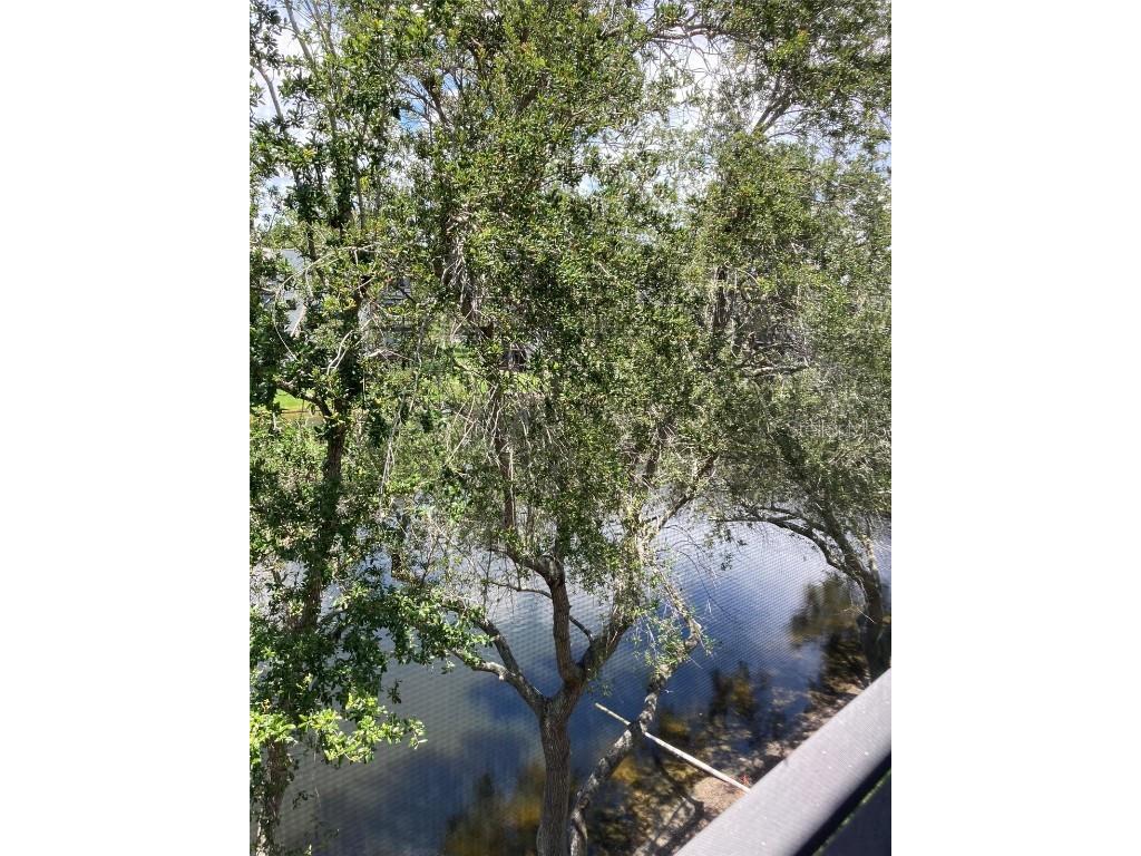 6080 80th Street N #410 Saint Petersburg FL 33709 U8206876 image1