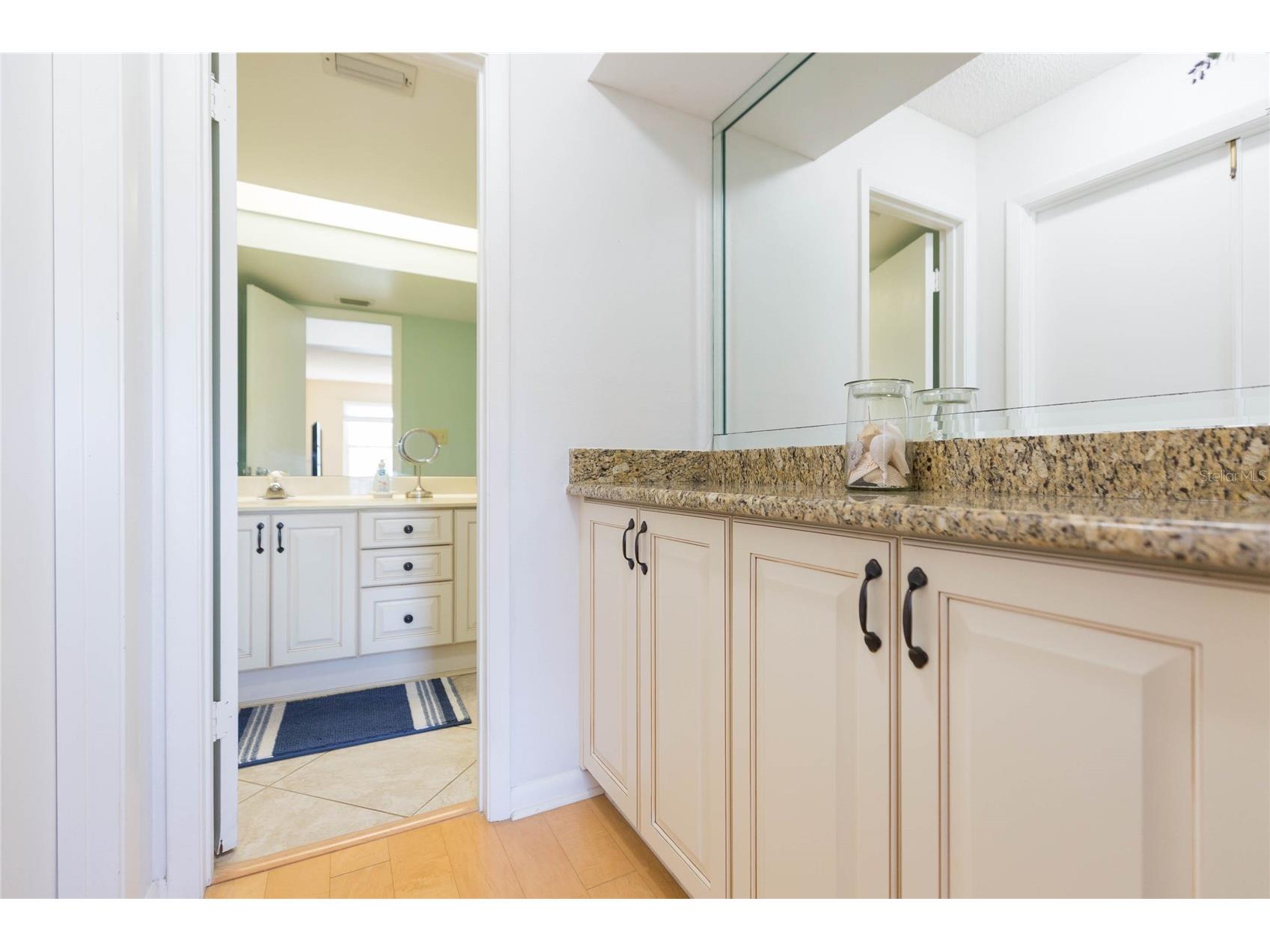 6080 Bahia Del Mar Circle #113 Saint Petersburg FL 33715 TB8480836 image23