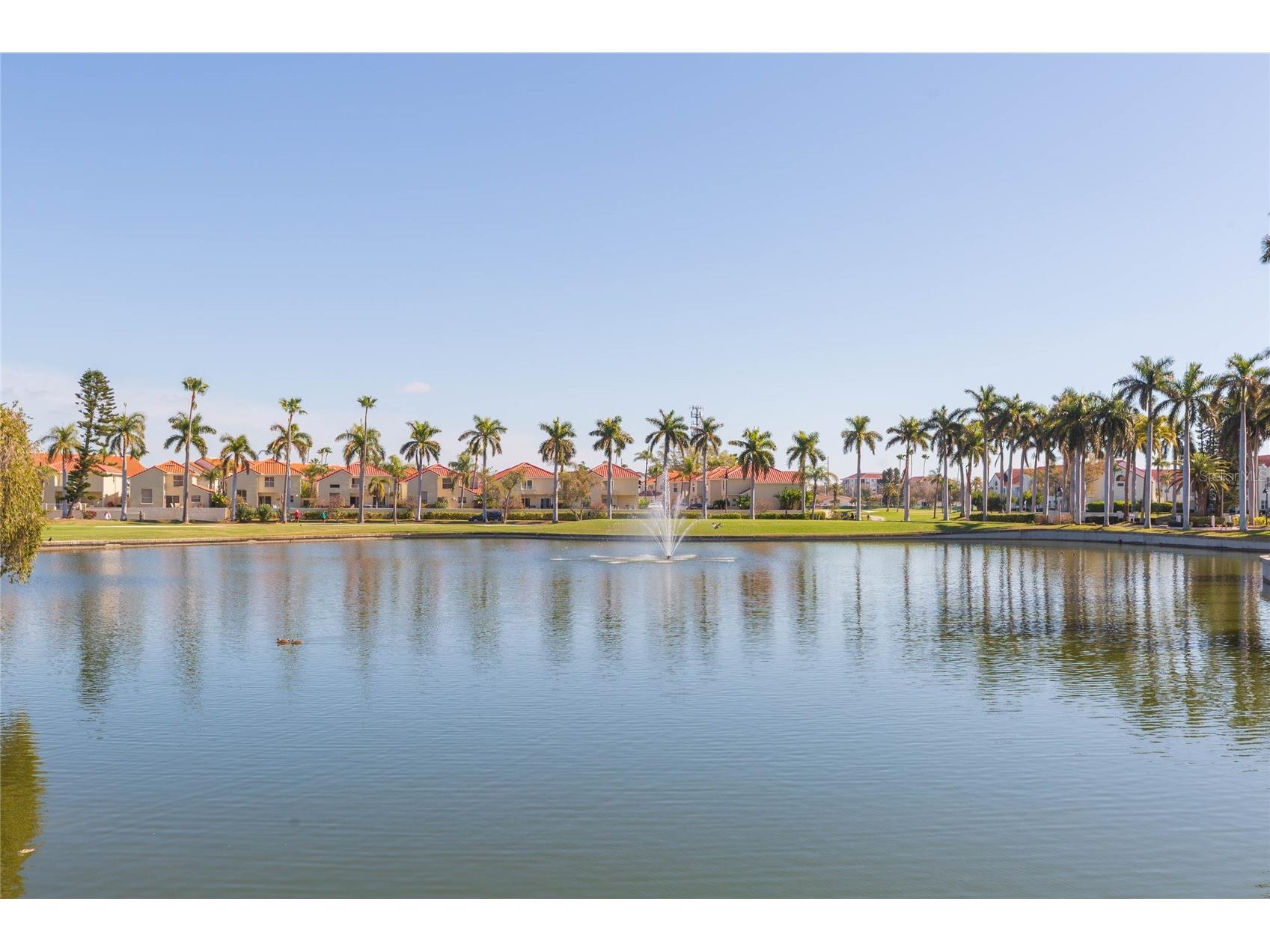 6080 Bahia Del Mar Circle #113 Saint Petersburg FL 33715 TB8480836 image28