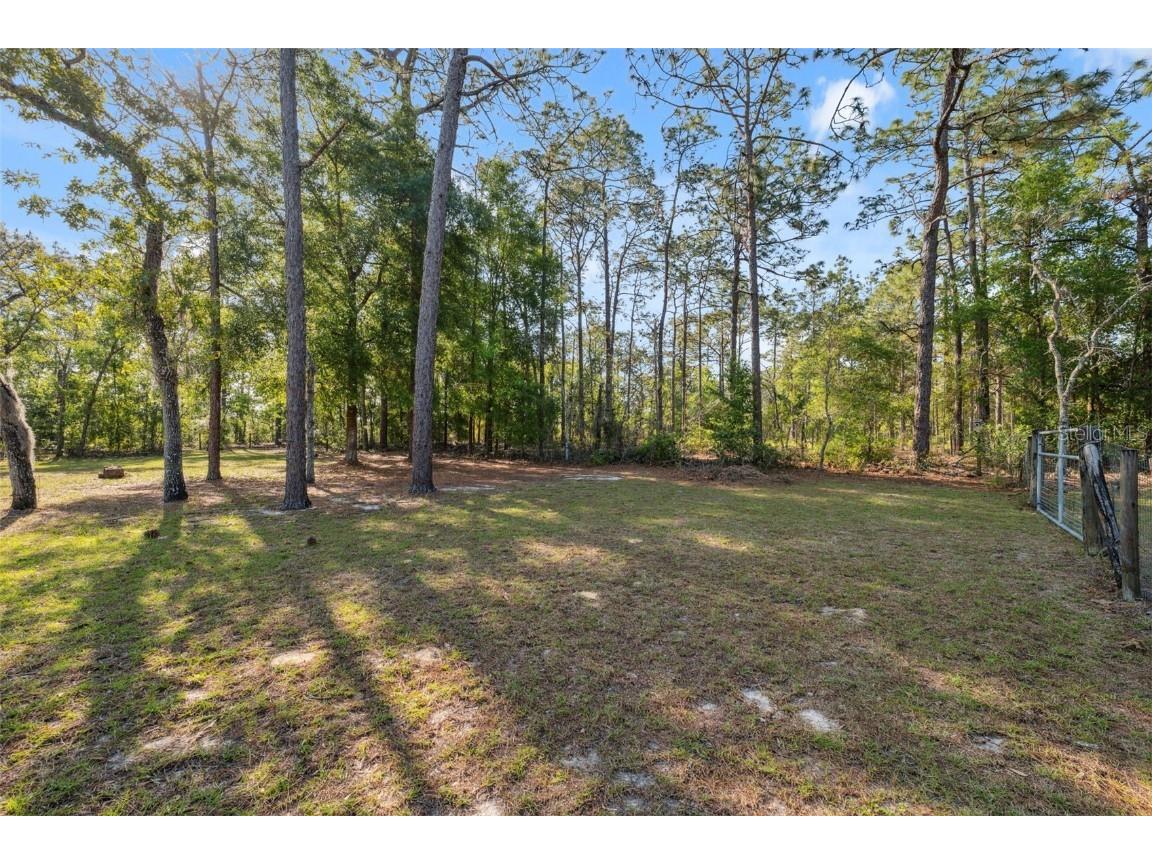 6080 Dexter Lane Brooksville FL 34602 W7874849 image34