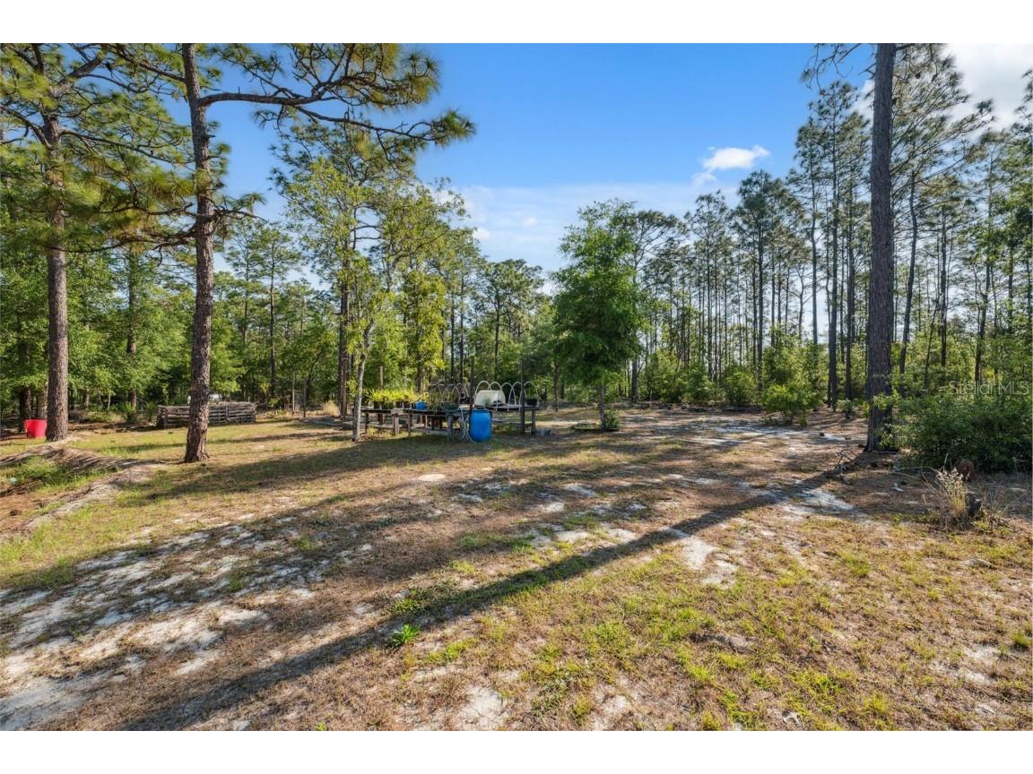 6080 Dexter Lane Brooksville FL 34602 W7874849 image37