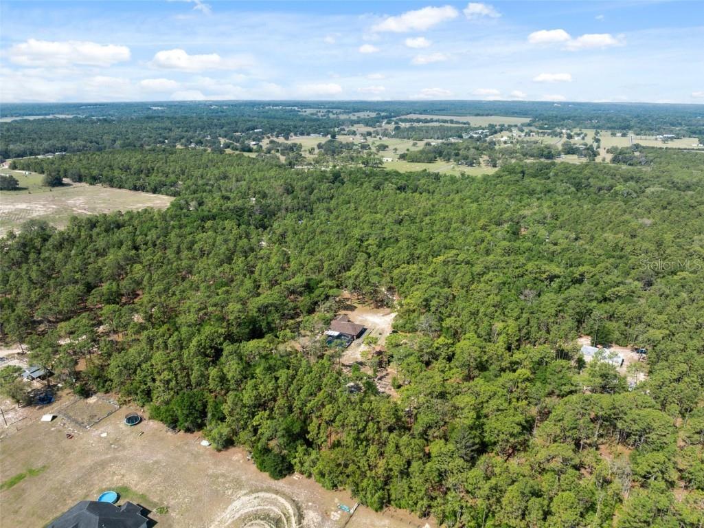 6080 Dexter Lane Brooksville FL 34602 W7874849 image49