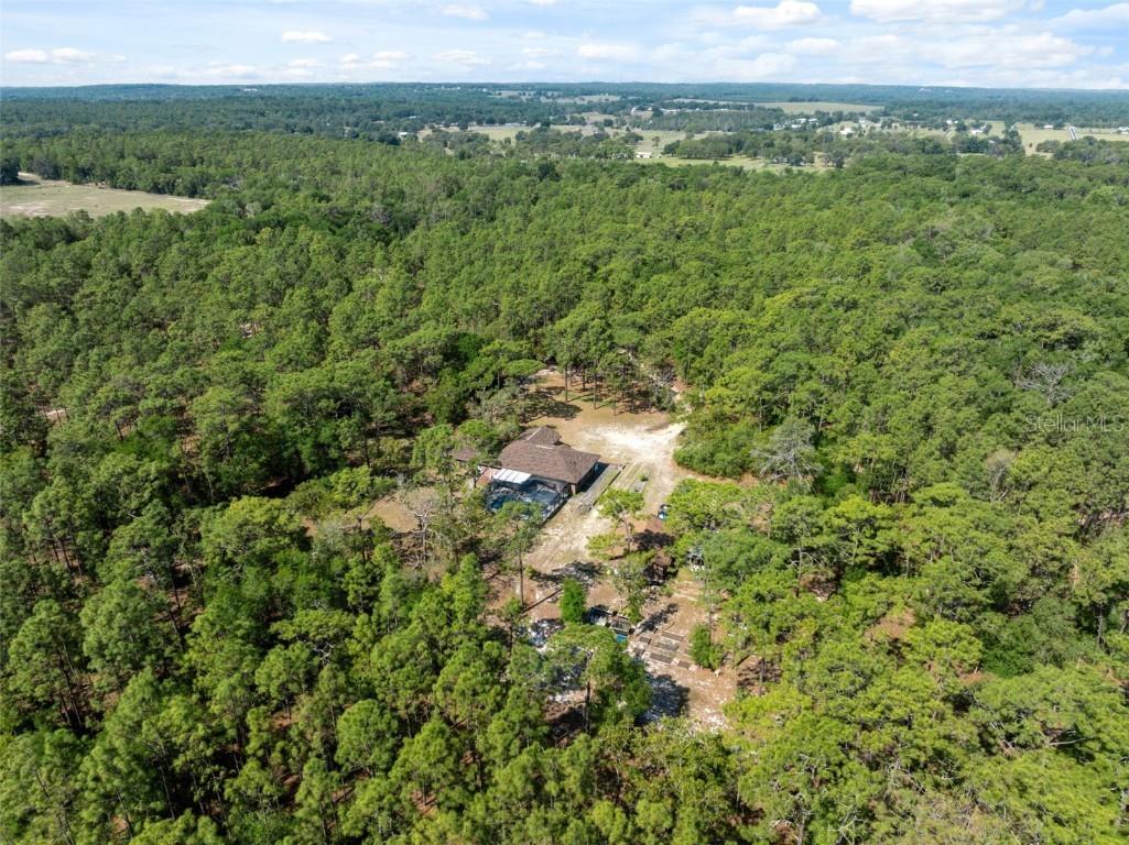 6080 Dexter Lane Brooksville FL 34602 W7874849 image50