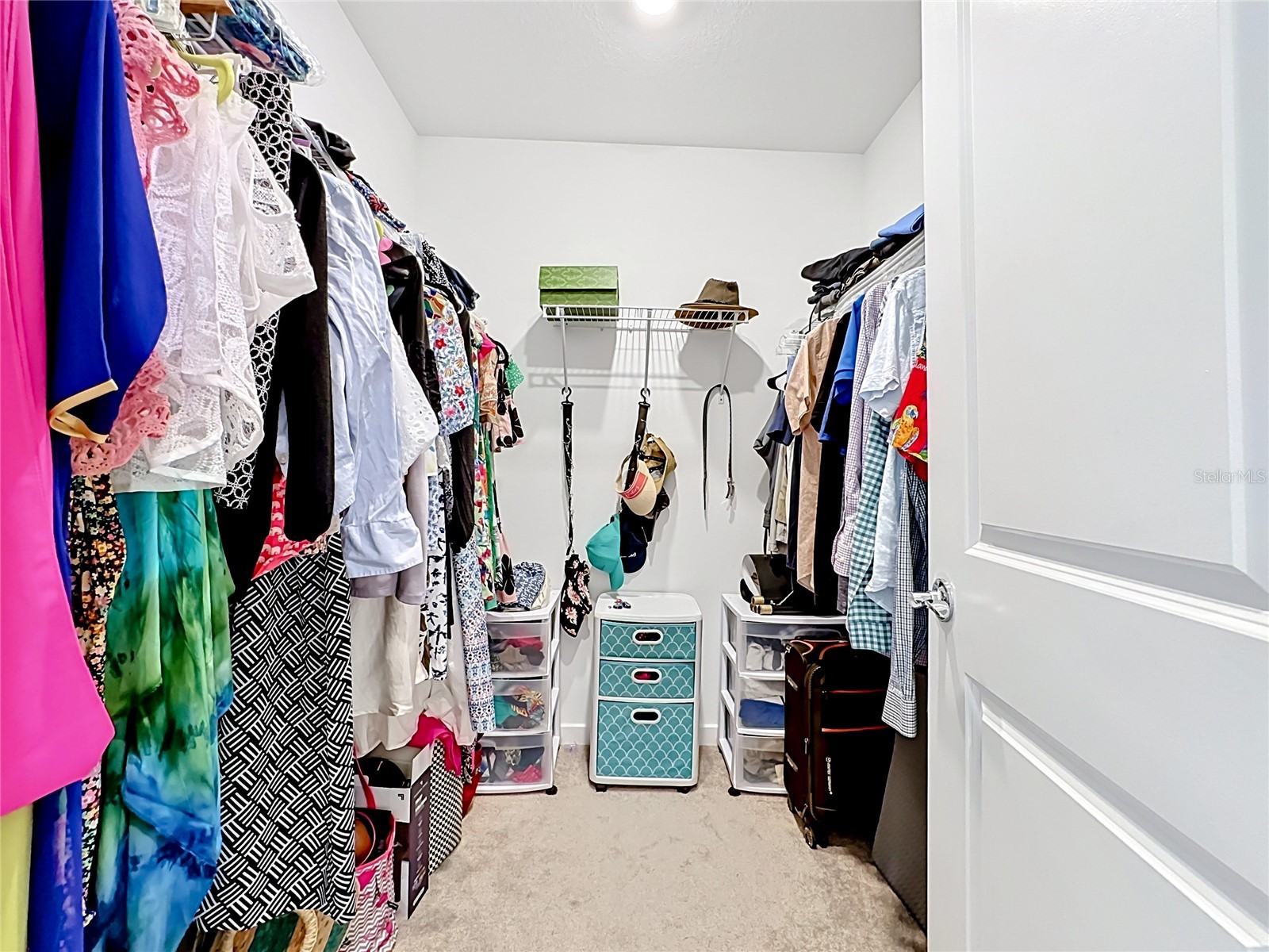 6080 Jensen View Avenue Apollo Beach FL 33572 TB8503471 image17