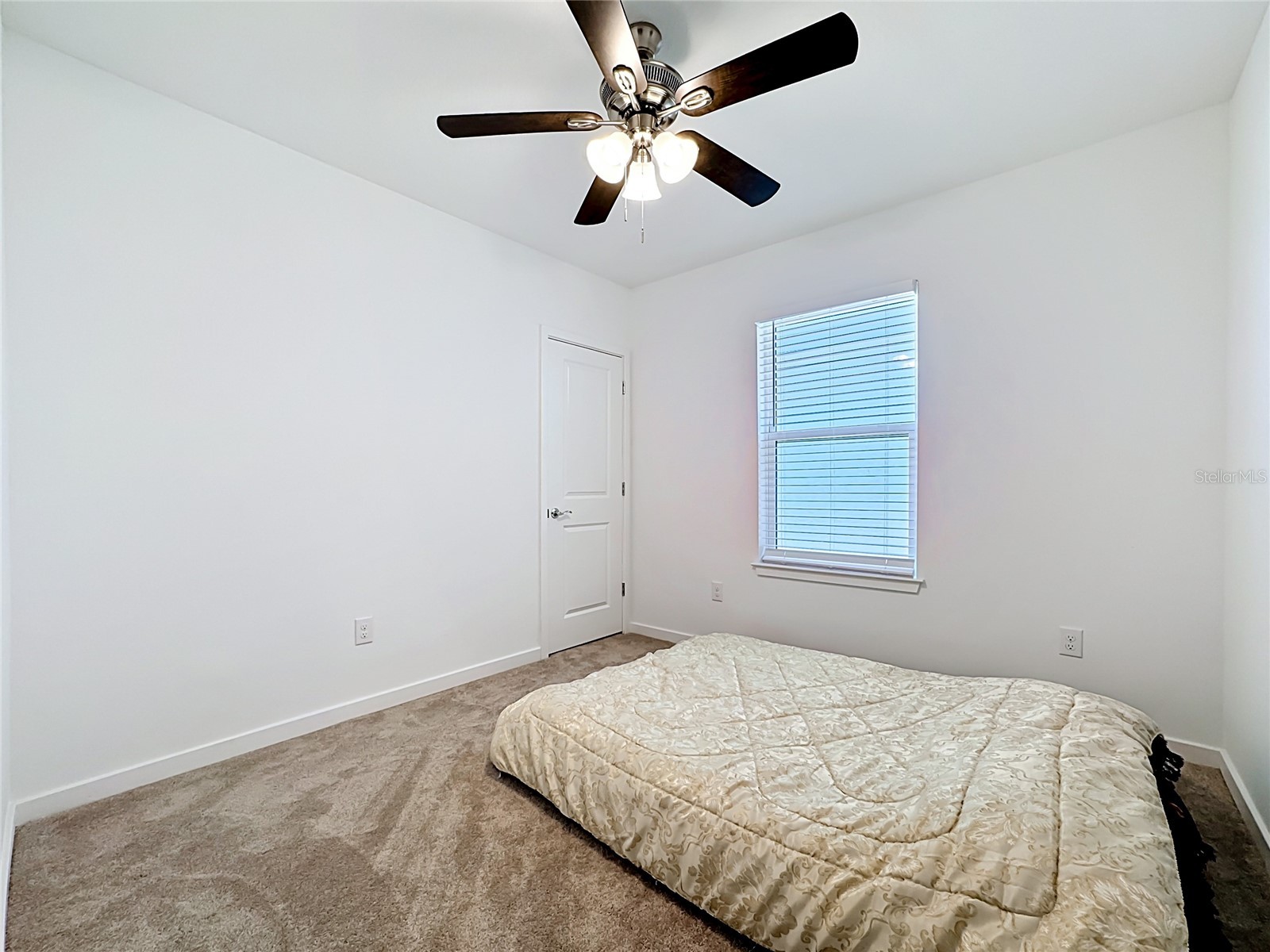 6080 Jensen View Avenue Apollo Beach FL 33572 TB8503471 image19