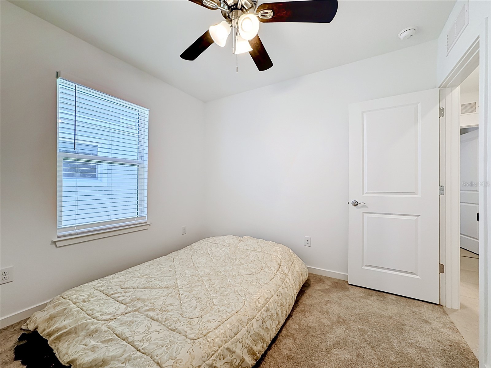 6080 Jensen View Avenue Apollo Beach FL 33572 TB8503471 image20