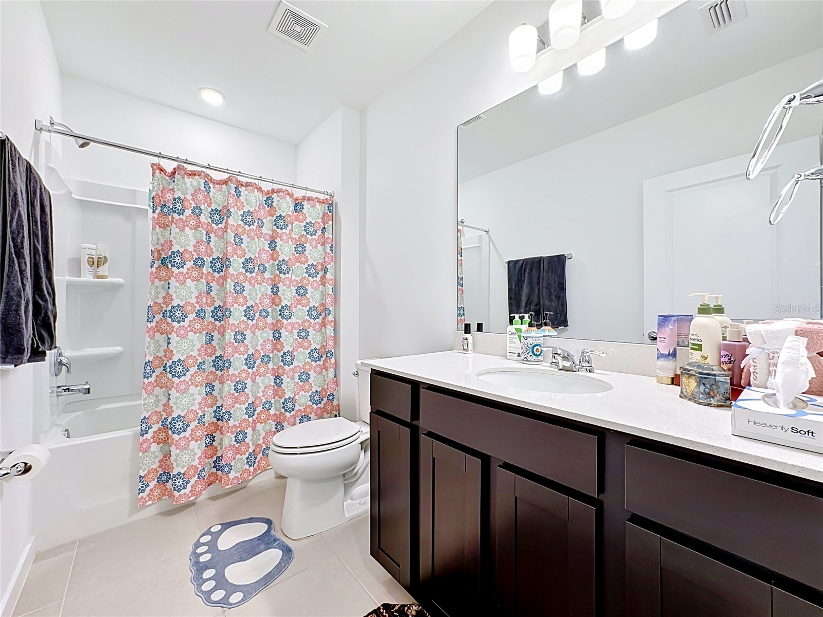 6080 Jensen View Avenue Apollo Beach FL 33572 TB8503471 image21