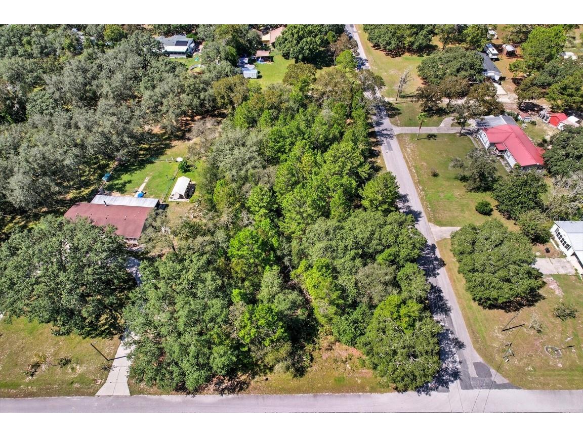 6080 S Esmeralda Terrace Lecanto FL 34461 W7879756 image2