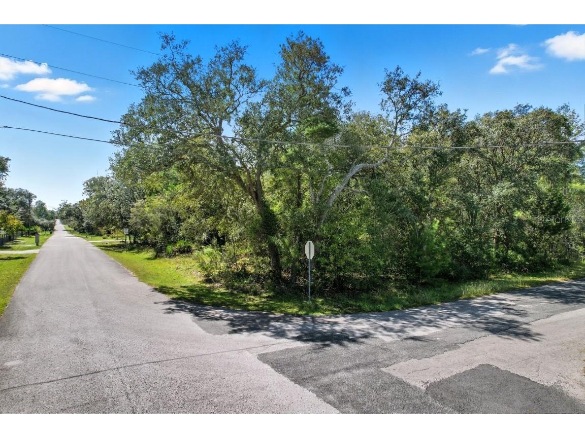 6080 S Esmeralda Terrace Lecanto FL 34461 W7879756 image3