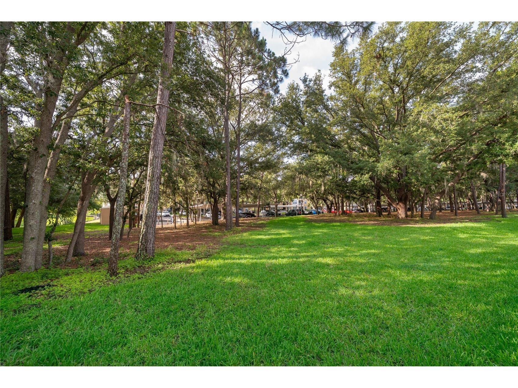 6080 Twain Street #102 Orlando FL 32835 O6410729 image23